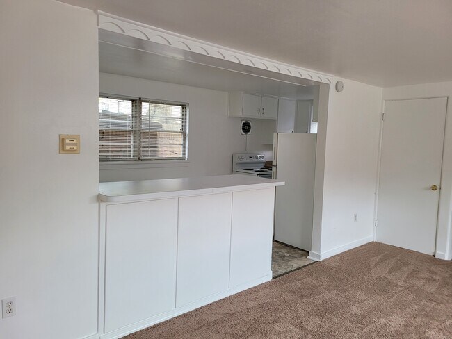 counter between living/kitchen - 309 11th St