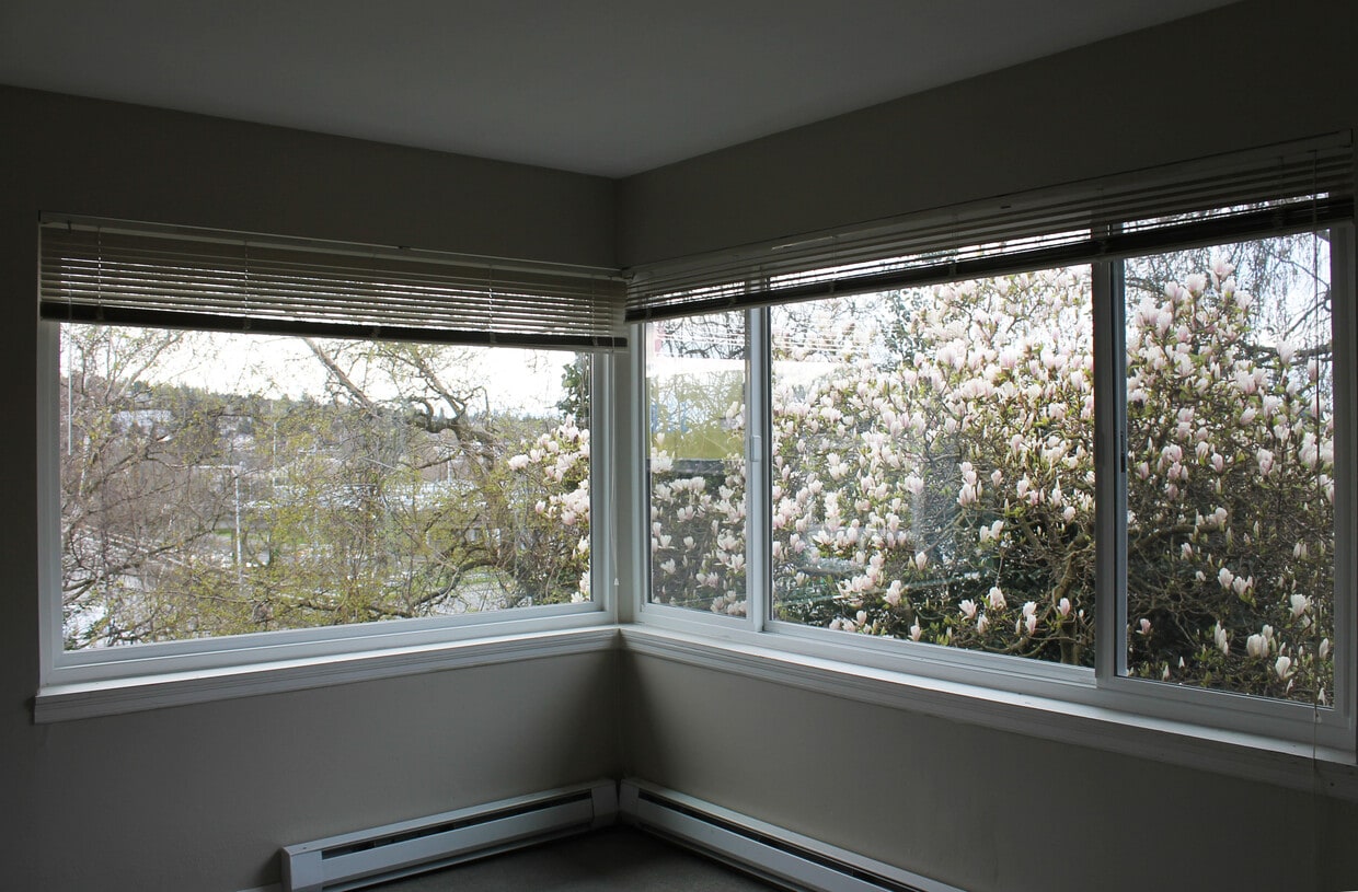Living Room View - 3627 14th Ave W