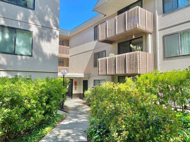 Foto del edificio - Spacious Top-Floor STUDIO in Beautiful Shelter Creek - WATER & GARBAGE Included!