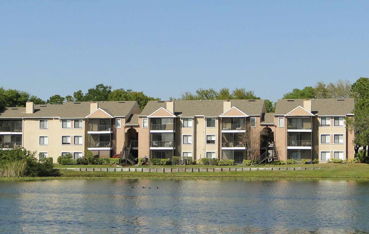 Avana Lakeview Apartments in Clearwater, FL