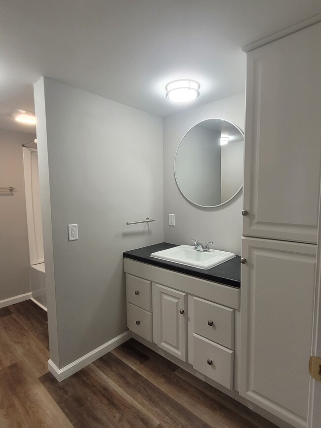 Main bathroom - 111 E 19th St S