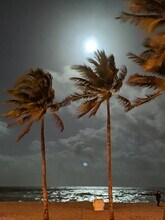 Building Photo - 2106 N Ocean Dr