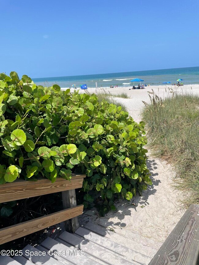 Foto del edificio - 3233 Sea Oats Cir