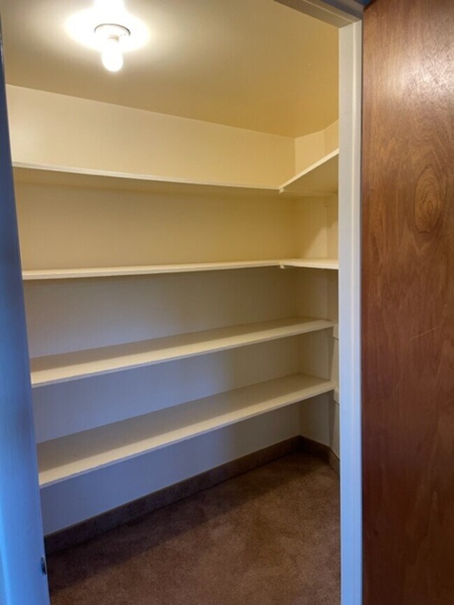Building Photo - Basement Apt