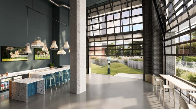 Parque y spa para mascotas interior y exterior - The Parson