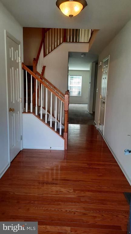 Foto del edificio - 305 Antilles Court