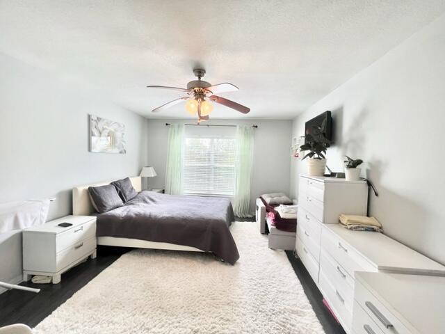 Building Photo - 4274 Calinda Ln