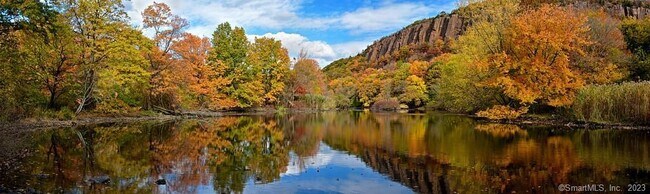 Building Photo - 61 Canner St