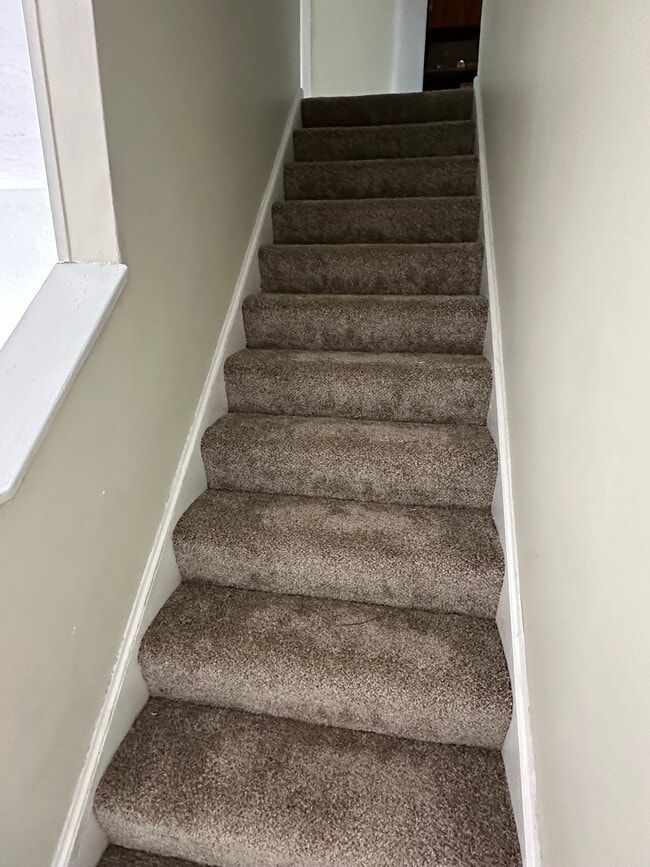 Building Photo - 445 Cedar Dr