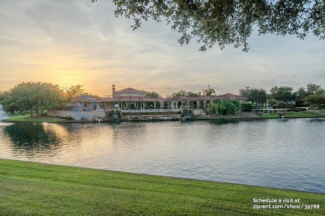 Foto del edificio - 2814 Palm Harbour Dr
