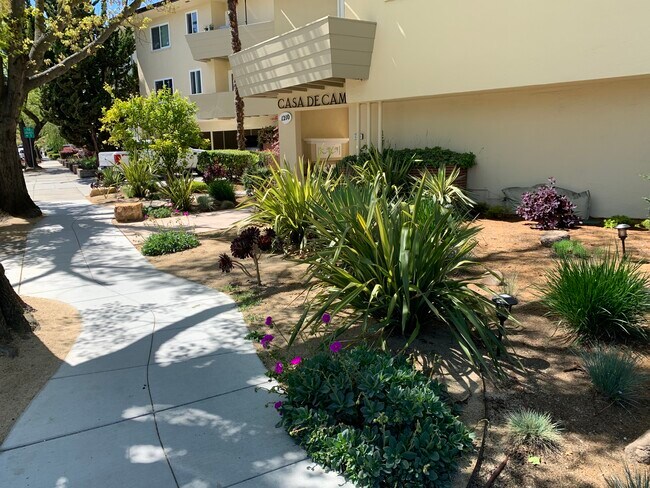 Front yard - 1210 Oak Grove Ave
