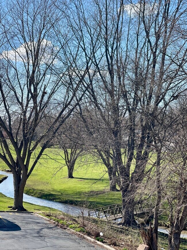 1115 Shagbark Rd Unit 2E, New Lenox, IL 60451 Condo for Rent in New