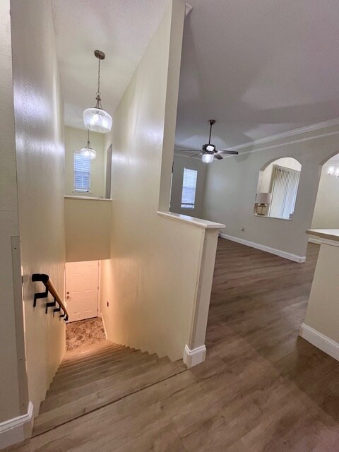 Foto del edificio - 12307 Lantana Park Ln
