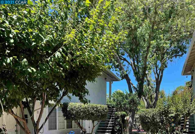 Building Photo - 1423 Del Rio Cir