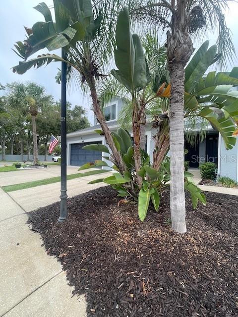 Building Photo - 6012 Parkside Meadow Dr