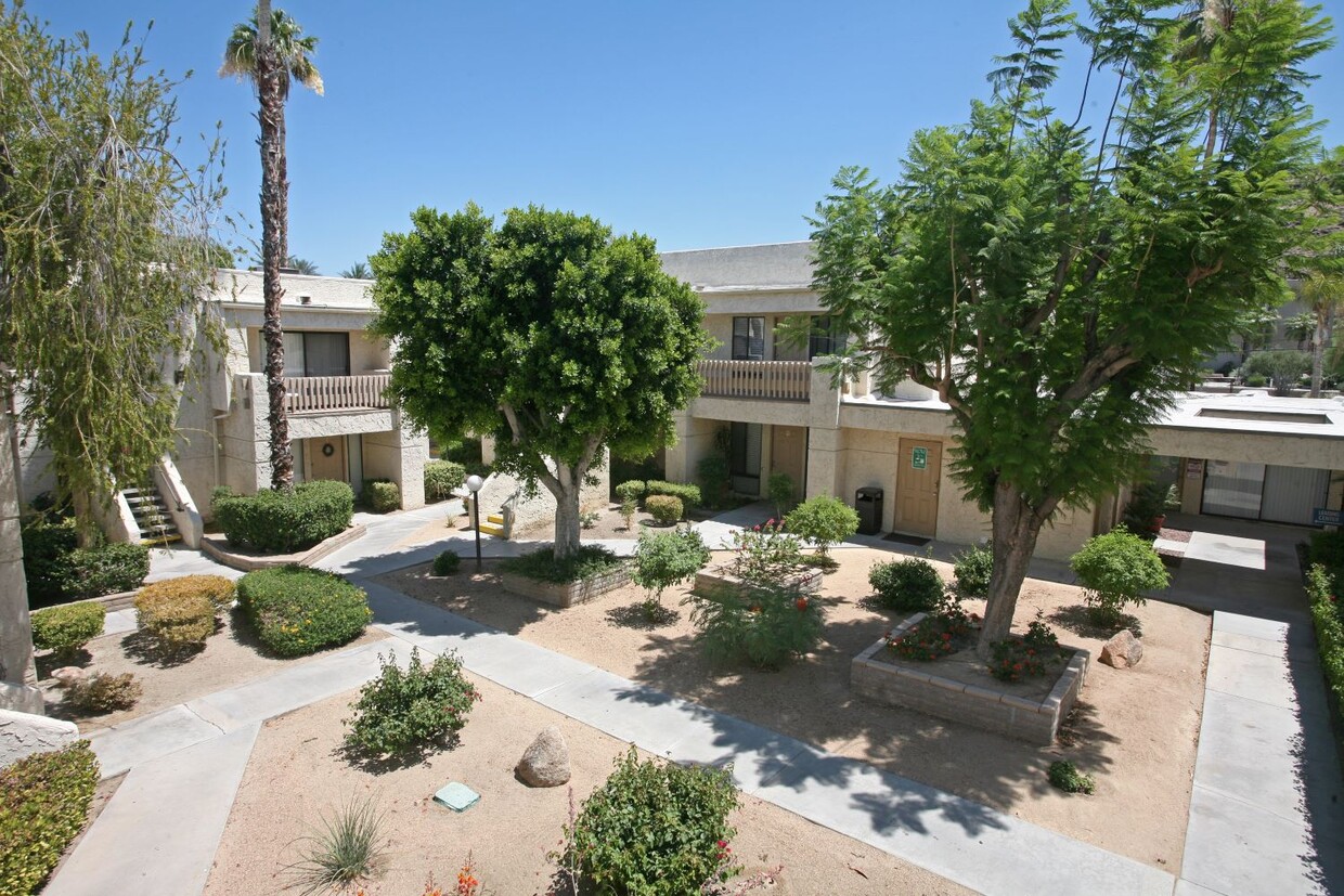 Primary Photo - Palm Canyon Terrace