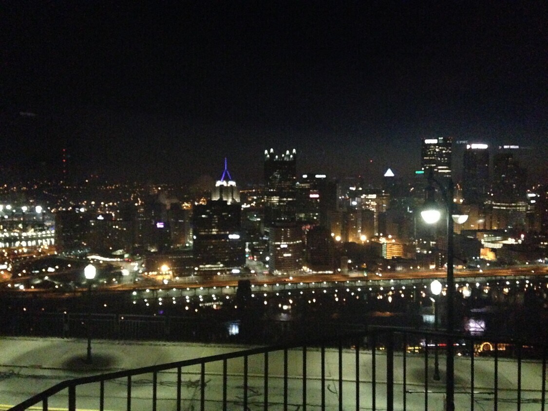 331 Grandview Ave Unit 3, Pittsburgh, PA 15211 Apartments in