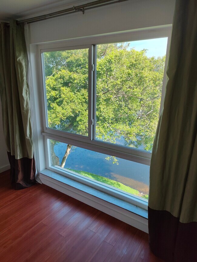 Peaceful view - 2104 S Cypress Bend Dr