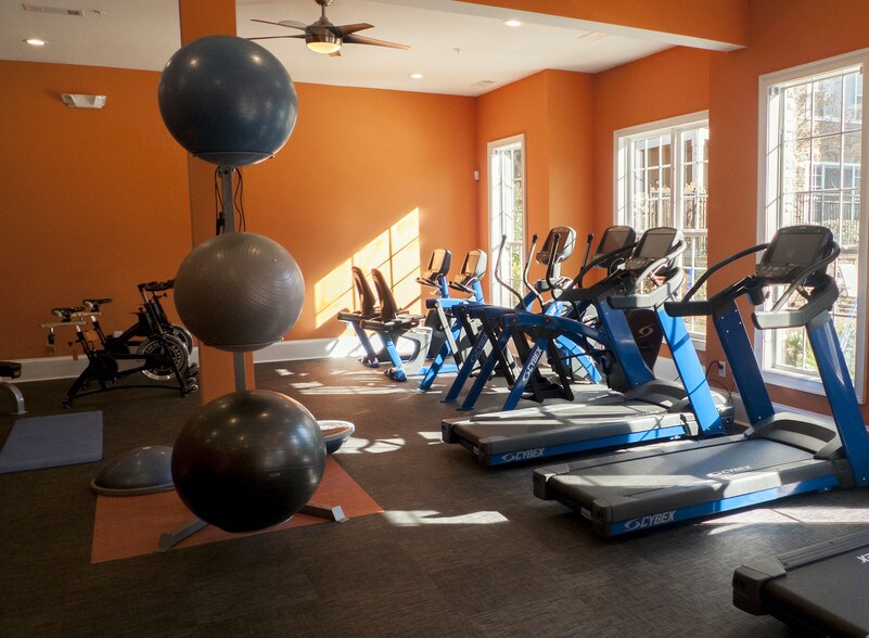 Park at Towne Lake Apartments Rentals Woodstock, GA