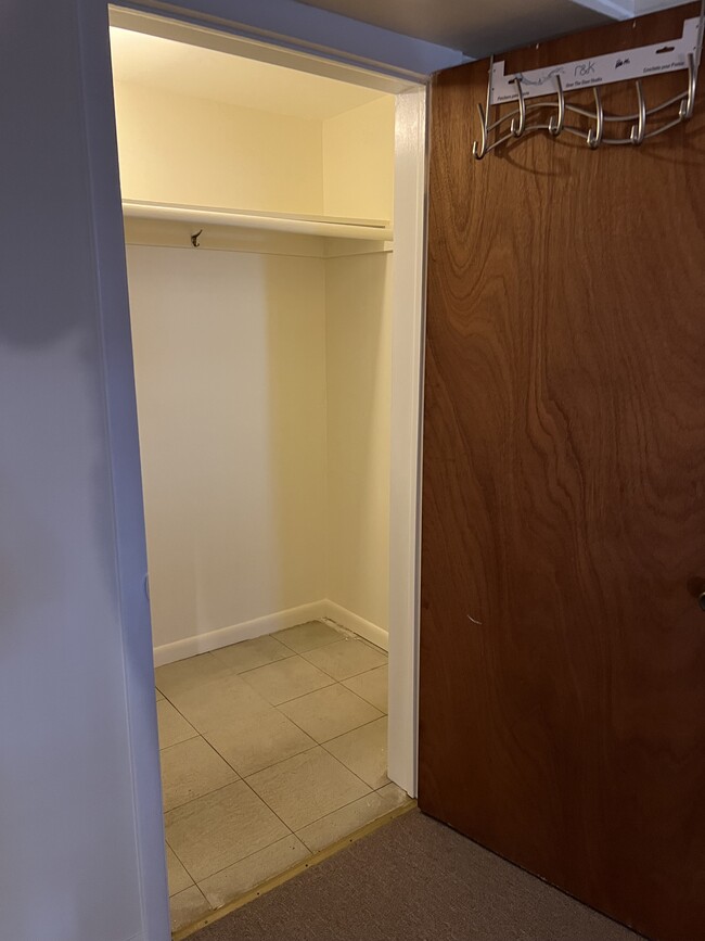 Closet - 313 Rich Ave