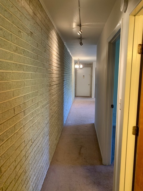 Custom SplitRock Wall Throughout - 938 Ludlow Ave