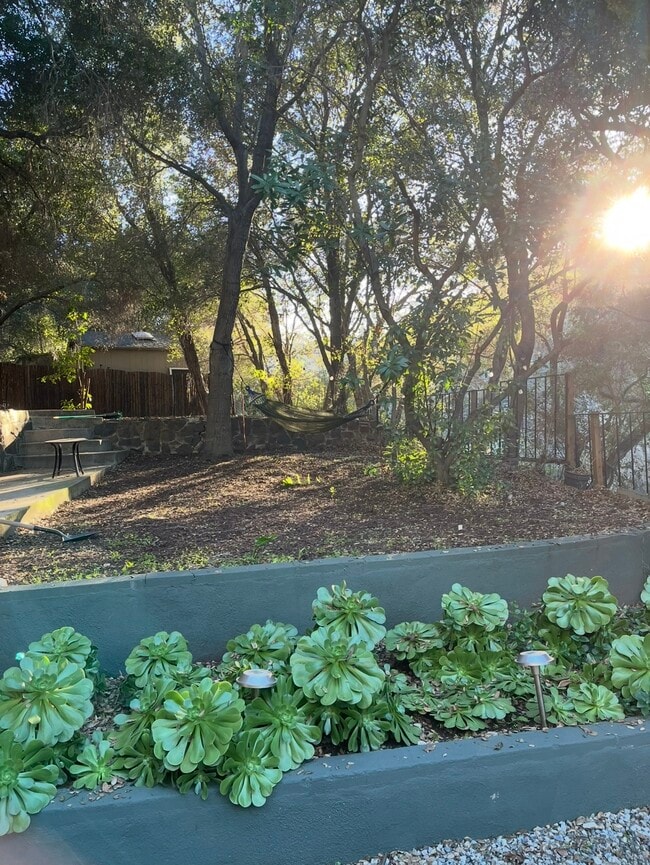 Multi level backyard - 624 N Topanga Canyon Blvd