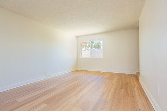 Living Room - 2320 Clark Ln