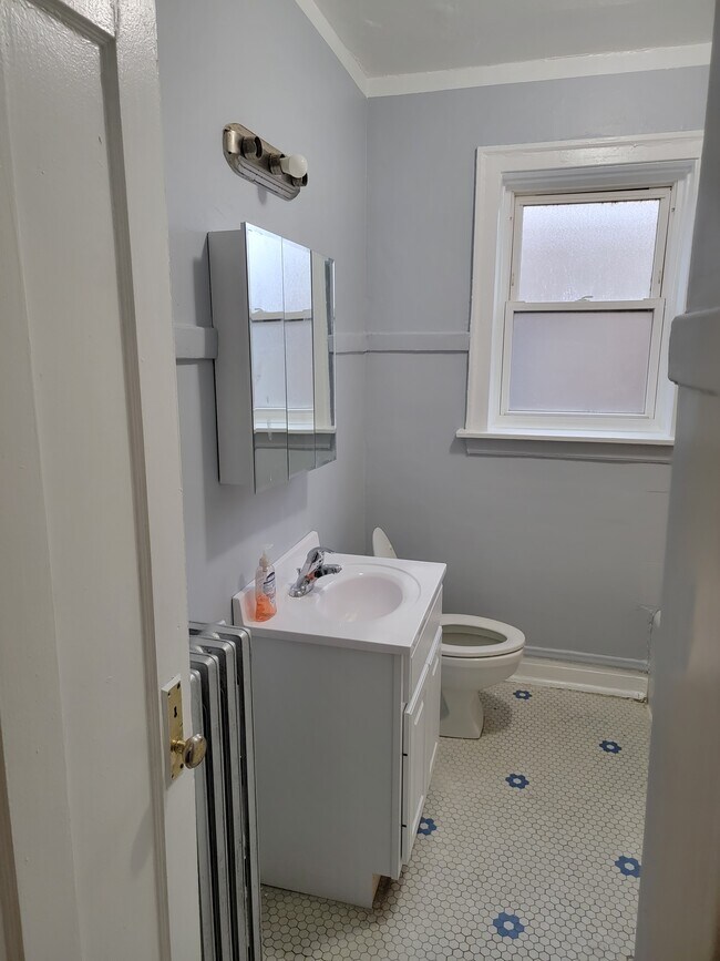 Washroom - 1744 W Albion Ave