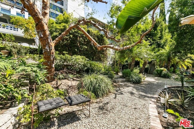 Foto del edificio - 1323 N Olive Dr