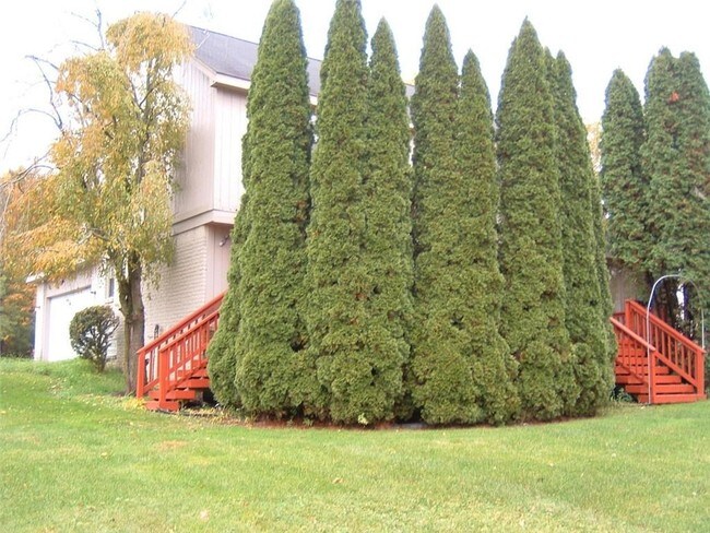 Building Photo - 5220 Cedar Grove Ct