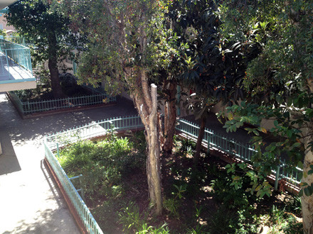 Foto del edificio - 642 N Wilmington Blvd
