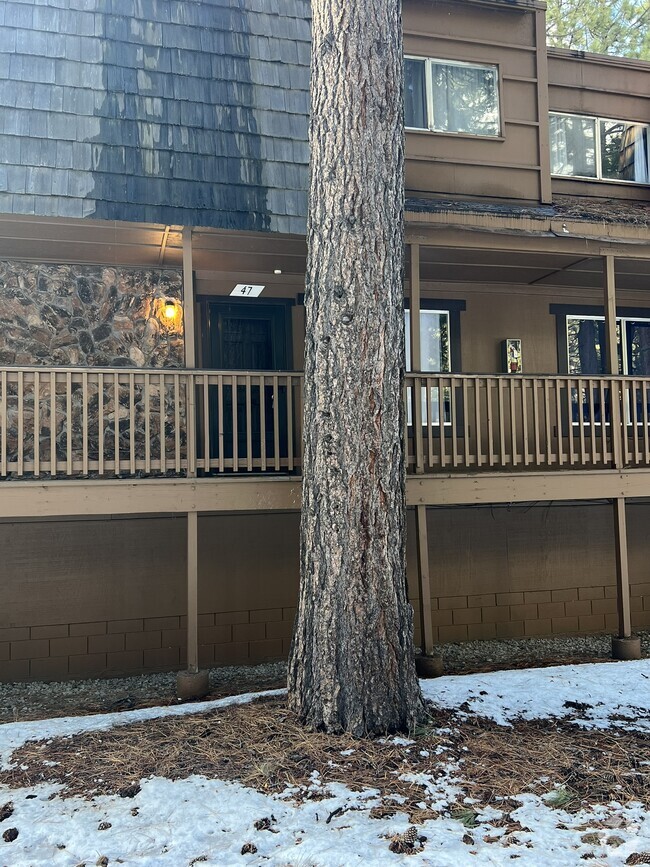 Building Photo - 1200 Wildwood Ave