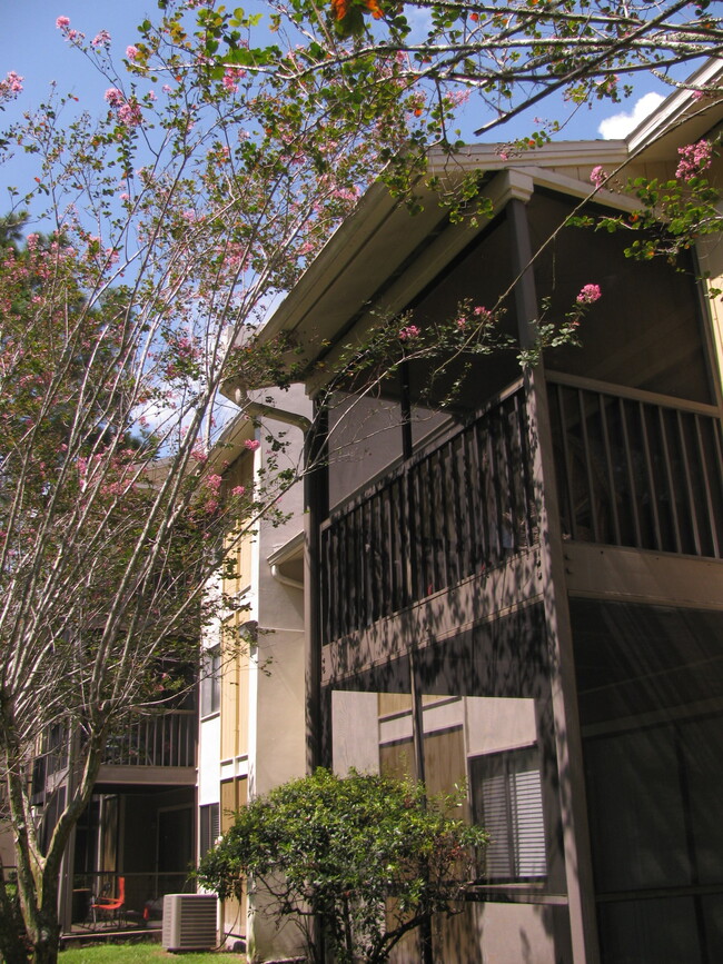 Building Photo - 13289 Arbor Pointe Cir
