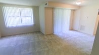 This single-floor space features an open living area finished with wall-to-wall beige carpeting, creating a neutral and versatile foundation throughout. Two large windows fitted with vertical blinds allow generous amounts of natural light to fill the room, contributing to a bright and airy atmosphere. A structural column or partial wall divides portions of the space, adding subtle architectural definition while maintaining an open feel. The walls are finished in a light, warm tone that complements the carpet and enhances the overall brightness of the interior. A ceiling-mounted light fixture provides additional illumination, and a visible HVAC vent in the ceiling ensures climate control throughout the space. Sliding glass doors dressed with matching vertical blinds offer access to an exterior area, further connecting the interior to the outdoors. The overall layout is clean and straightforward, providing a functional and adaptable living environment well-suited to a variety of furnishing arrangements.