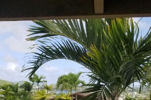 View - 1409 Auauki St