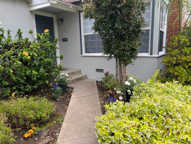 Front walk - 1019 Amherst Ave