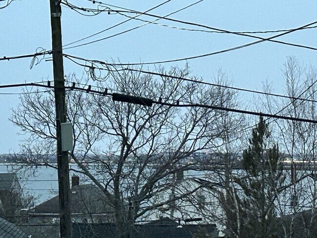 Foto del edificio - 49 R Siren St