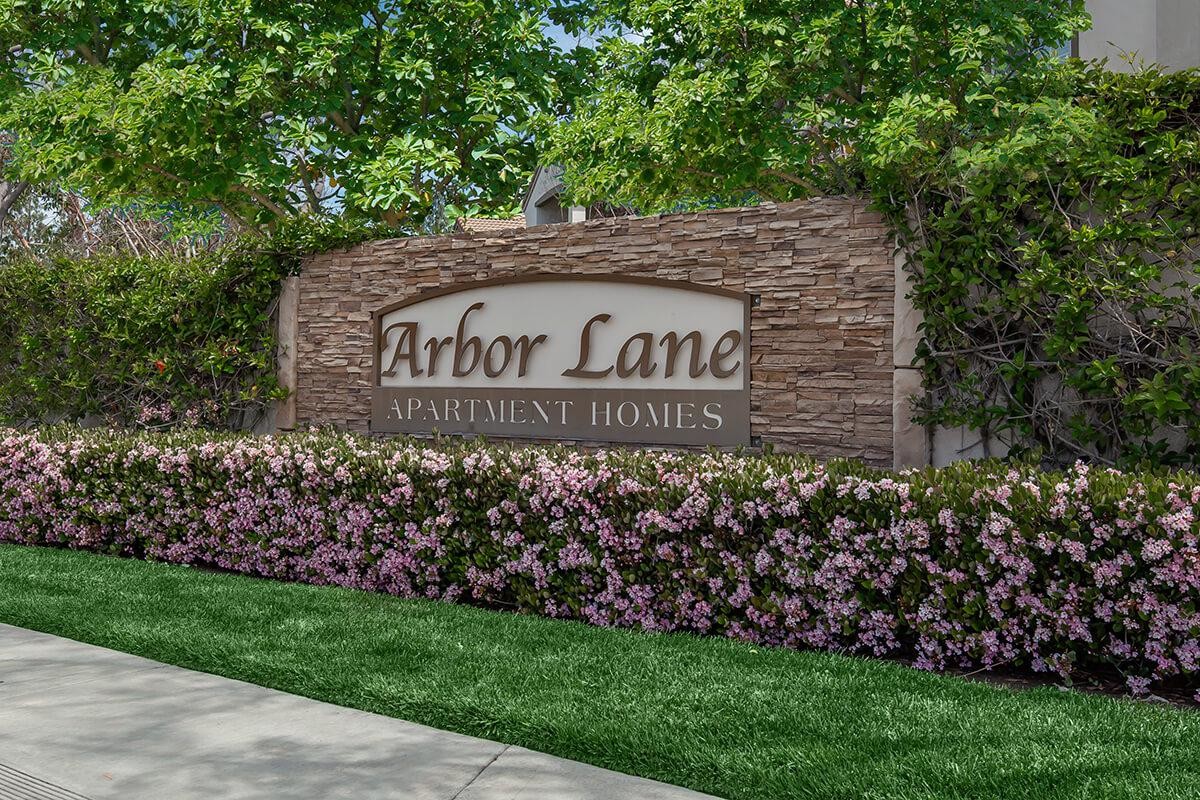 Foto principal - Arbor Lane Apartment Homes