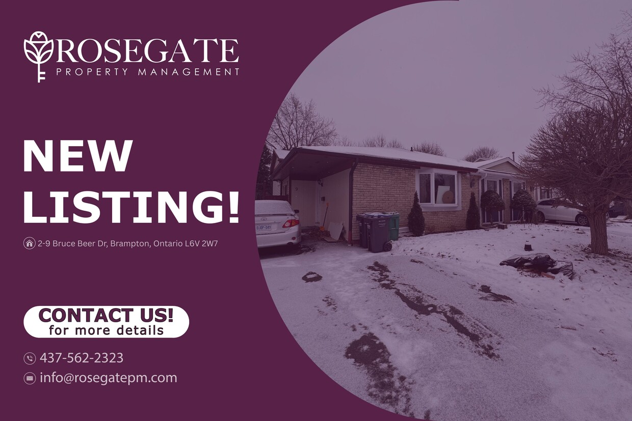 Photo principale - Cozy Studio Basement Apartment in Prime Brampton Location