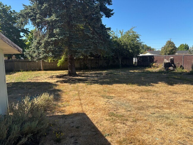 Foto del edificio - Charming 4 bedroom home in Independence