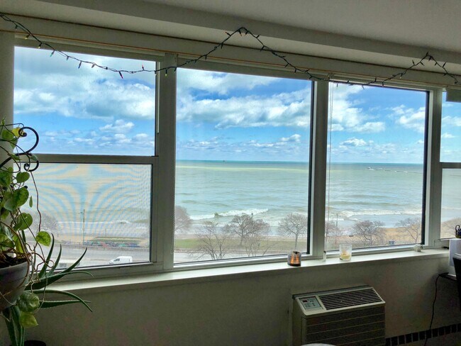 Building Photo - 1150 N Lake Shore Dr