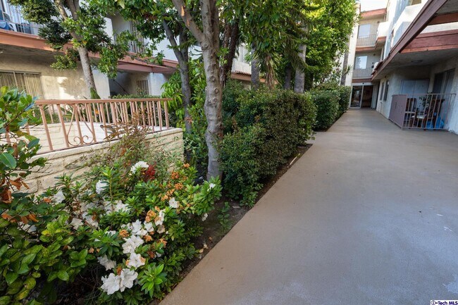 Foto del edificio - 1146 E Lexington Dr