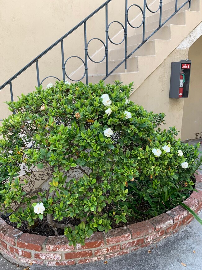 Patio - 1238 S Beverly Glen Blvd