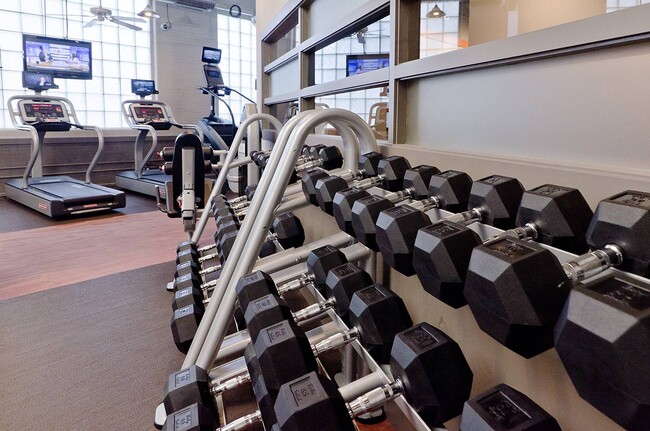 Well-equipped weight training area with full dumbbell rack - Ovaltine Court