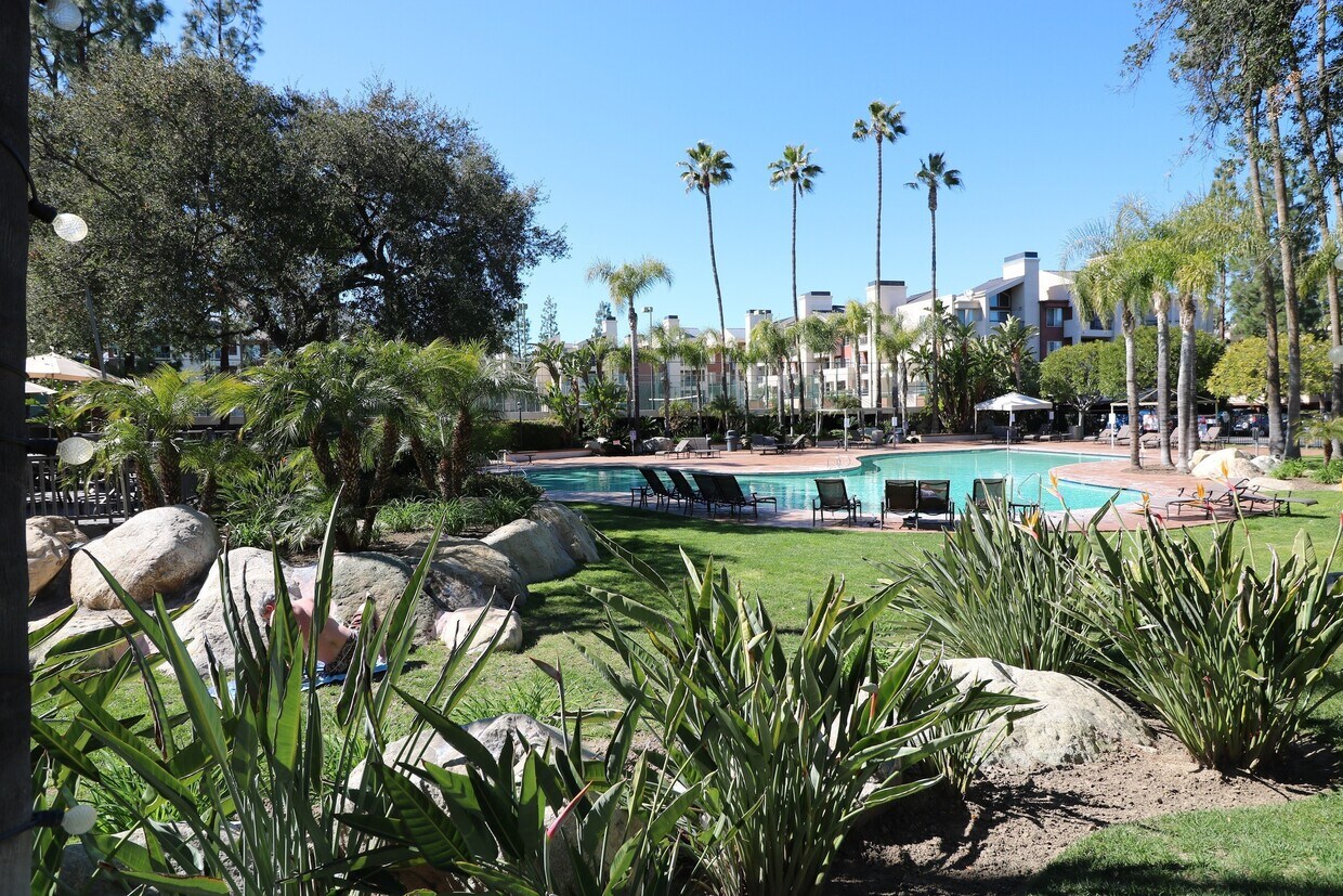 21500 Burbank Blvd Unit 321, Woodland Hills, CA 91367 Condo for Rent