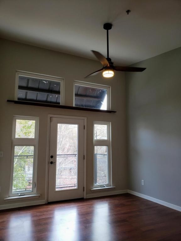 Foto del edificio - 125 Clingman Ave #302