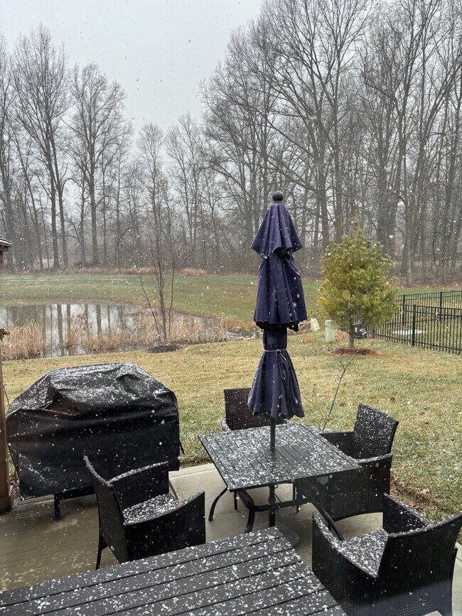 Back yard with pond views - 6367 Celeste St