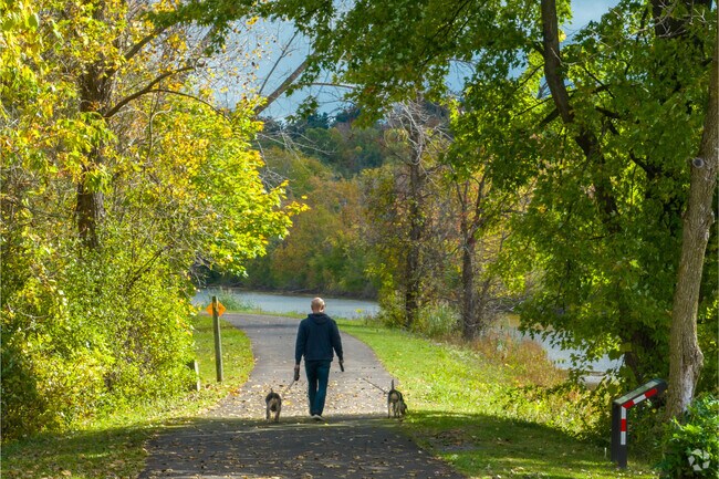The Erie Canalway Trail is a 10 mile dog friendly paved trail.