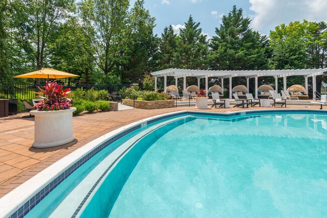 Relax at our resort-style pool. - Windsor Herndon