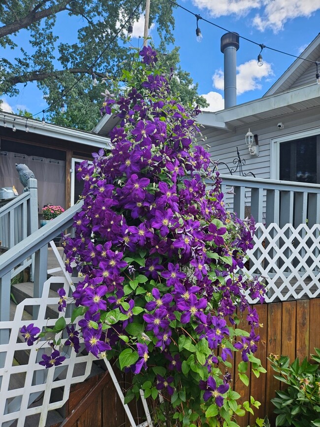 Foto del edificio - 4047 Mogadore Rd